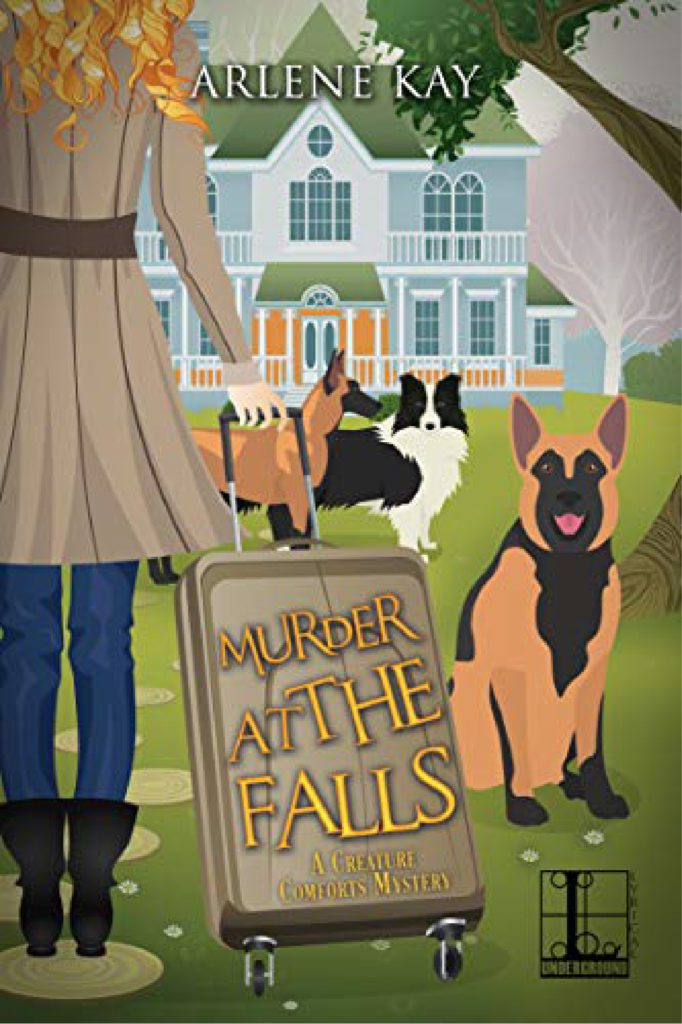 Murder at the Falls book cover